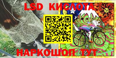 jwh Боровичи