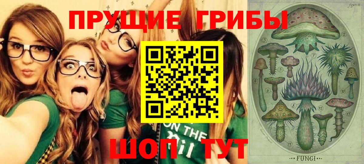 закладки  Галлюциногенные грибы прущие грибы  Вход с VPN  Новоалтайск 